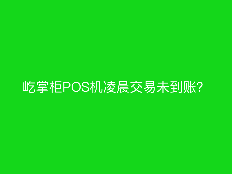 屹掌柜POS机凌晨交易未到账？