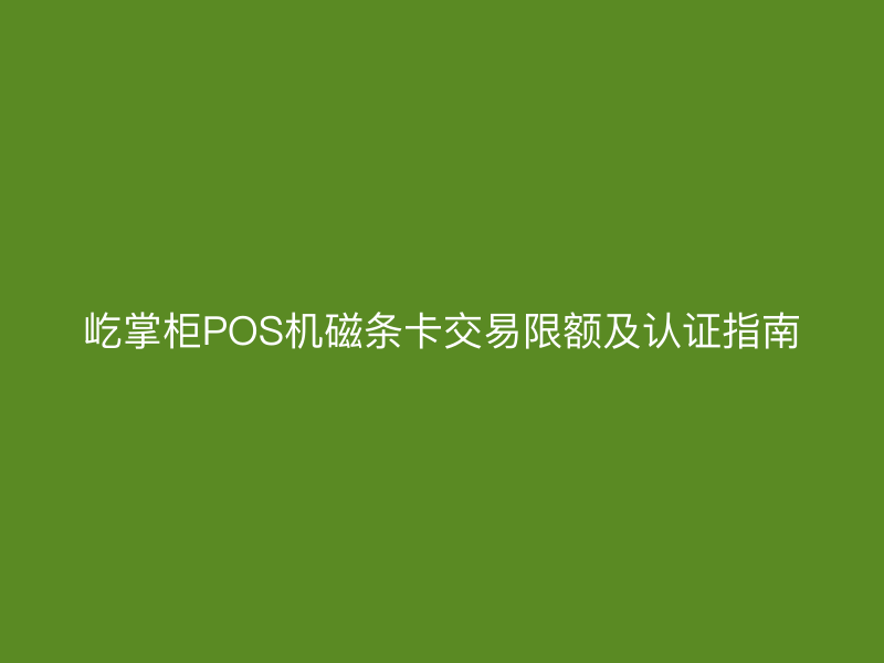 屹掌柜POS机磁条卡交易限额及认证指南
